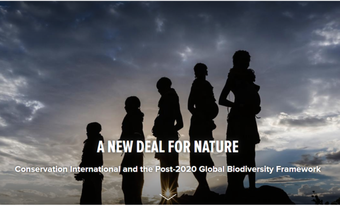 Conservation International, A New Deal for Nature: "Countries are in the process of negotiating a new global biodiversity framework through the Convention on Biological Diversity (CBD), which has been called a “New Deal for Nature.” This pact, expected to be agreed in Beijing in late 2020, will lay out the global strategy for protecting nature through 2030." Identified in the Level 2 Actions for "mainstreaming biodiversity" is "incorporating the value of biodiversity into national accounting processes"