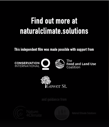 The Thunberg-Monbiot film, emphasizing the urgency of funding “natural solutions”, was paid for by Conservation International and the aforementioned *Food and Land Use Coalition, with “guidance” provided by Nature4Climate (The Nature Conservancy, We Mean Business, WWF, UN-REDD, et al.) and Natural Climate Solutions. [*Member foundations include ClimateWorks, the David & Lucile Packard Foundation, the Ford Foundation, the Gordon & Betty Moore Foundation, Good Energies, and Margaret Cargill.]