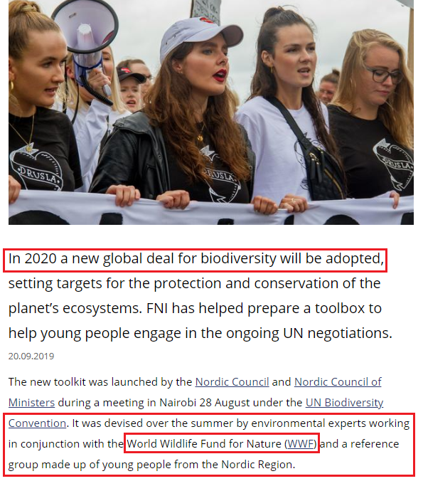September 20, 2019: "It was the Nordic Council Sustainability Committee who initially came up with the idea of an initiative targeting the youth, and the idea was immediately supported by the Nordic Council of Ministers for the Environment."